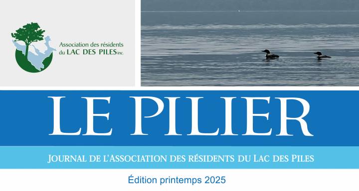 Le Pilier - Printemps 2025